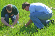 Zwei Studierende im Feld.